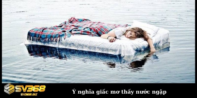 Mơ thấy nước ngập và những điềm báo không phải ai cũng biết 2 Ý nghĩa giấc mơ thấy nước ngập